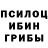 Псилоцибиновые грибы Magic Shrooms o prikolno
