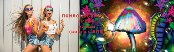 ГАЛЛЮЦИНОГЕННЫЕ ГРИБЫ Балахна
