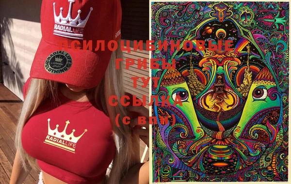 ГАЛЛЮЦИНОГЕННЫЕ ГРИБЫ Балахна