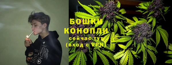 ГАЛЛЮЦИНОГЕННЫЕ ГРИБЫ Балахна
