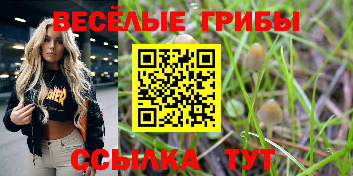 Долгопрудный  Галлюциногенные грибы мухоморы  Вход с VPN 